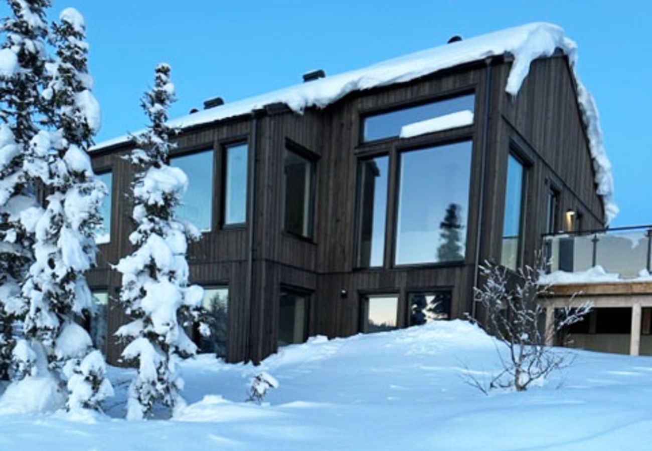 House in Vemdalen - Charming cottage in Vemdalen near skiing | SE21002