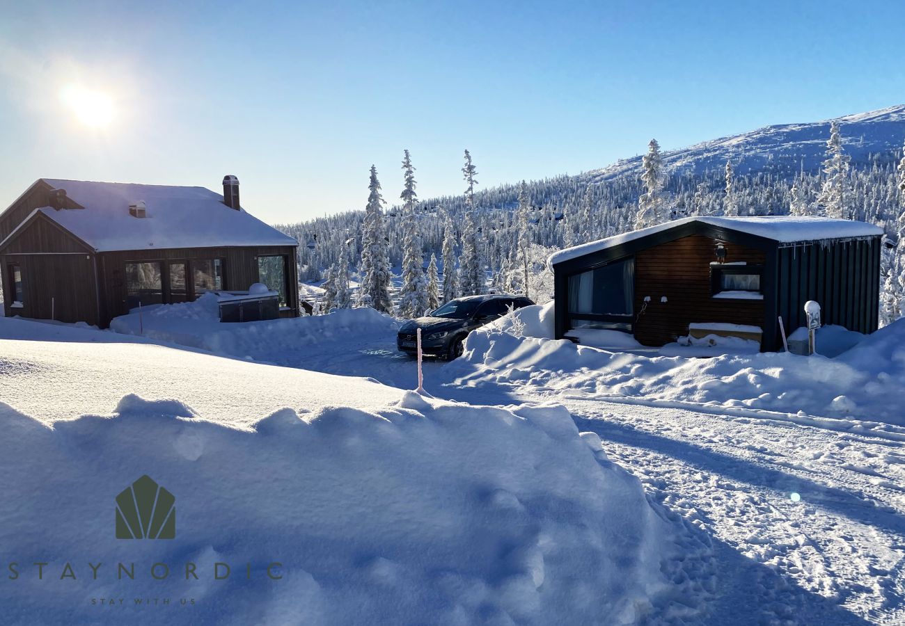 House in Vemdalen - Charming cottage in Vemdalen near skiing | SE21002