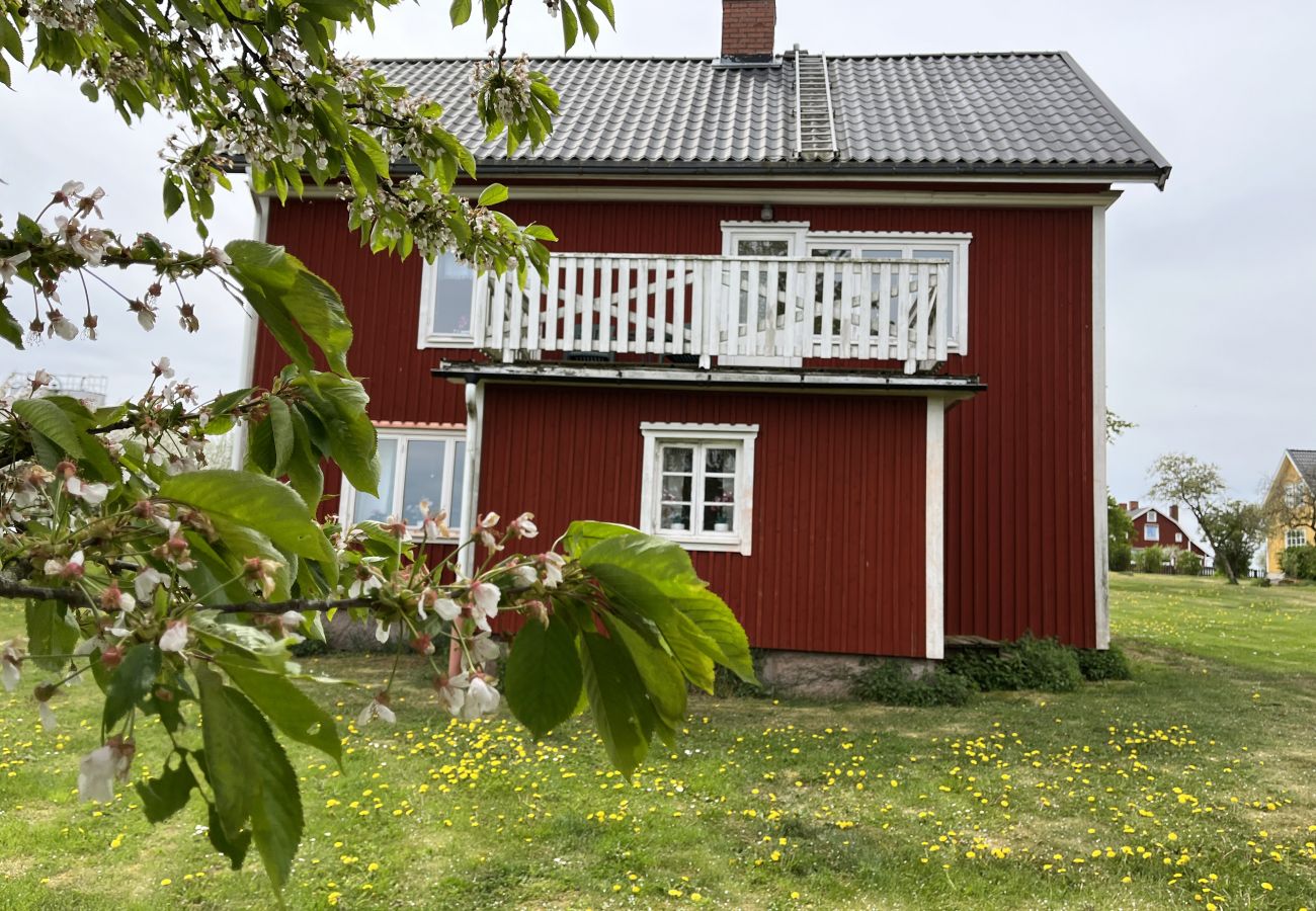 House in Gullringen - Cozy red cottage in the countryside outside Vimmerby I SE05038