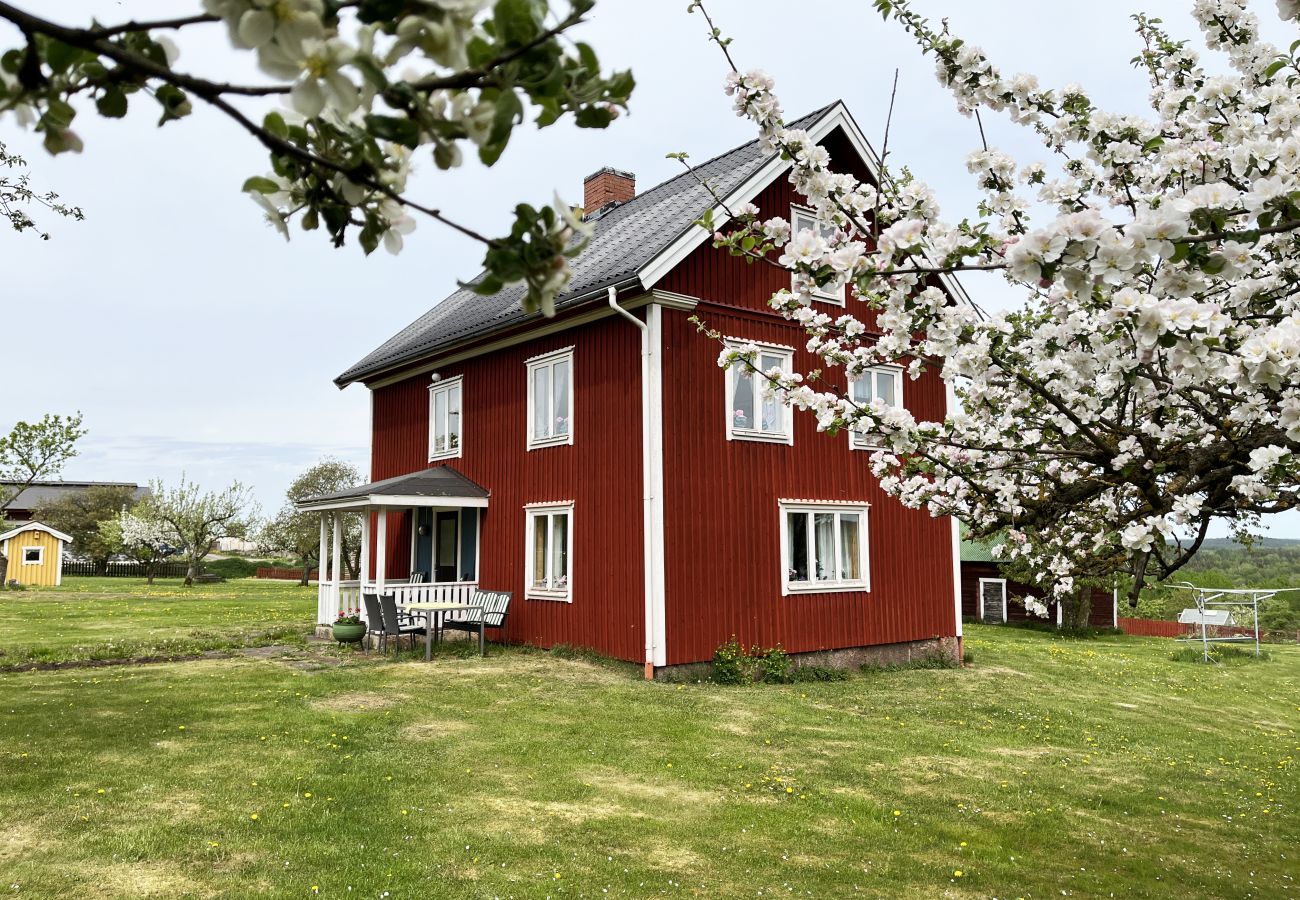 House in Gullringen - Cozy red cottage in the countryside outside Vimmerby I SE05038