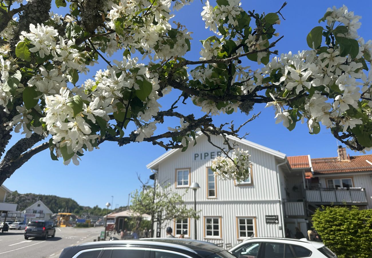 House in Hamburgsund - Nice semi-detached house on Hamburgerö in a unique environment | SE09037