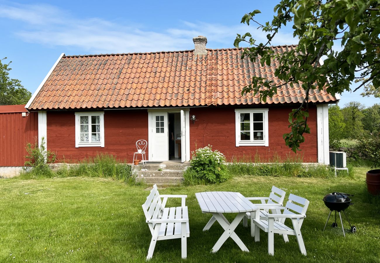 House in Borgholm - Nice cottage on Öland with grazing sheep in the surroundings I SE04033