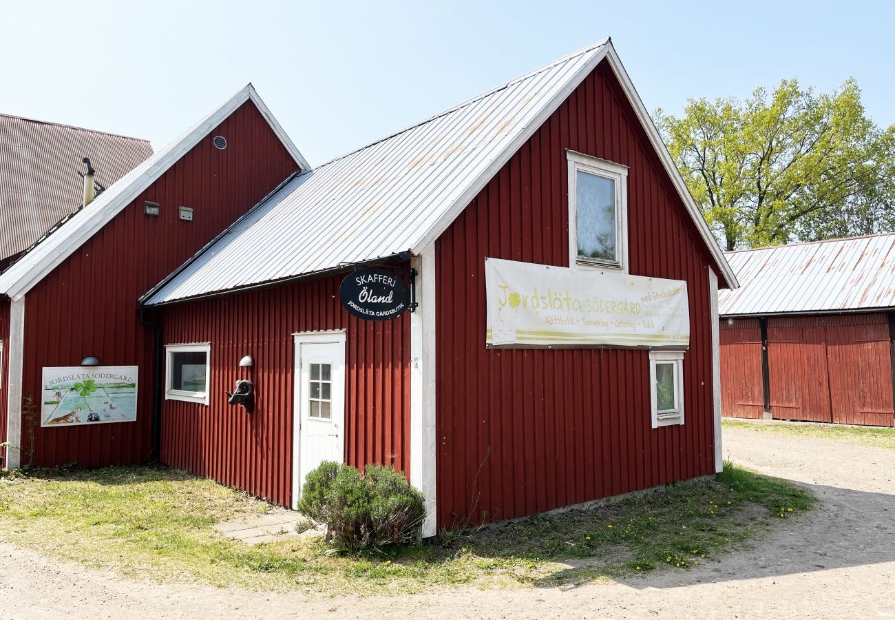 House in Borgholm - Nice cottage on Öland with grazing sheep in the surroundings I SE04033