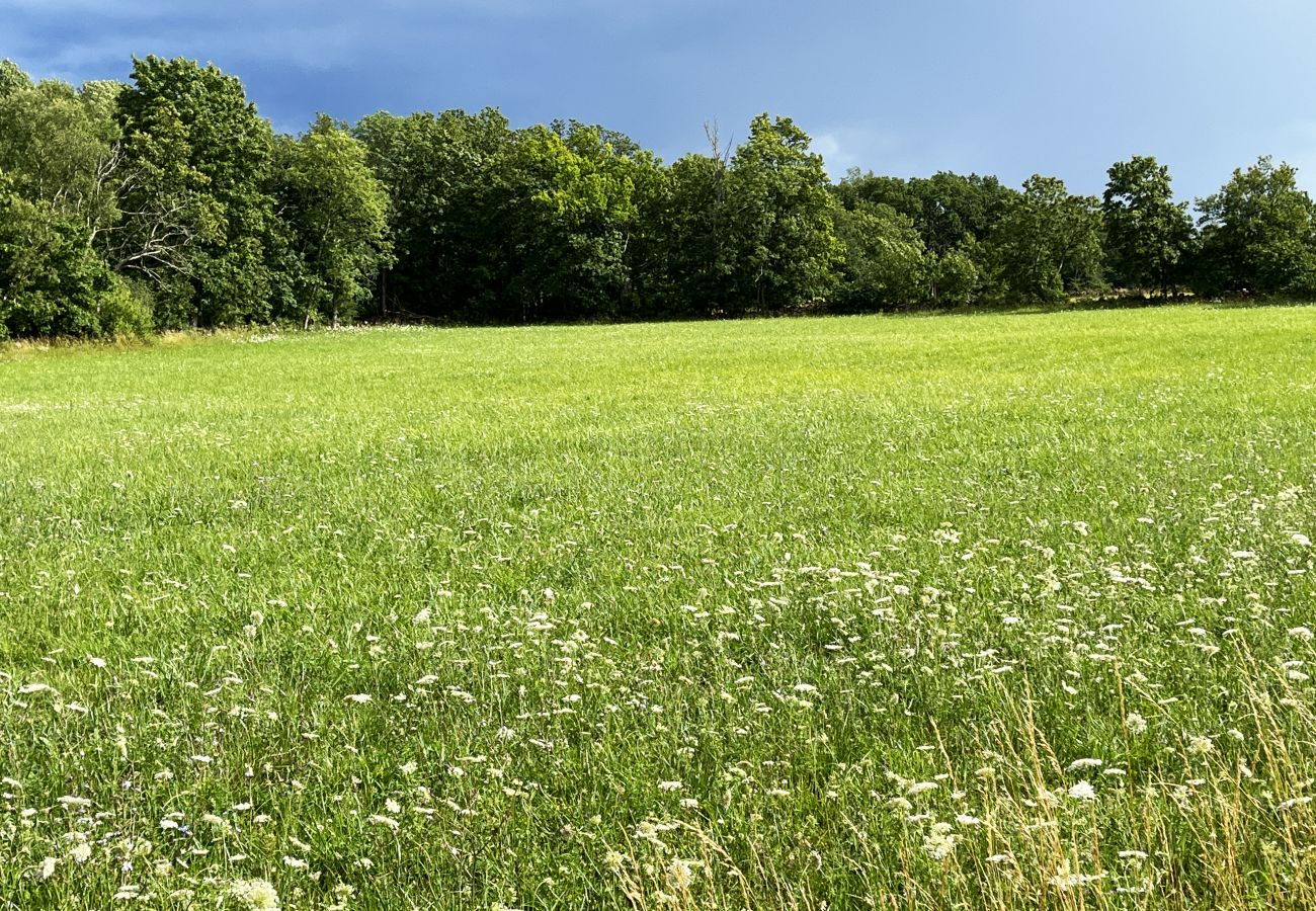 House in Borgholm - Nice cottage on Öland with grazing sheep in the surroundings I SE04033