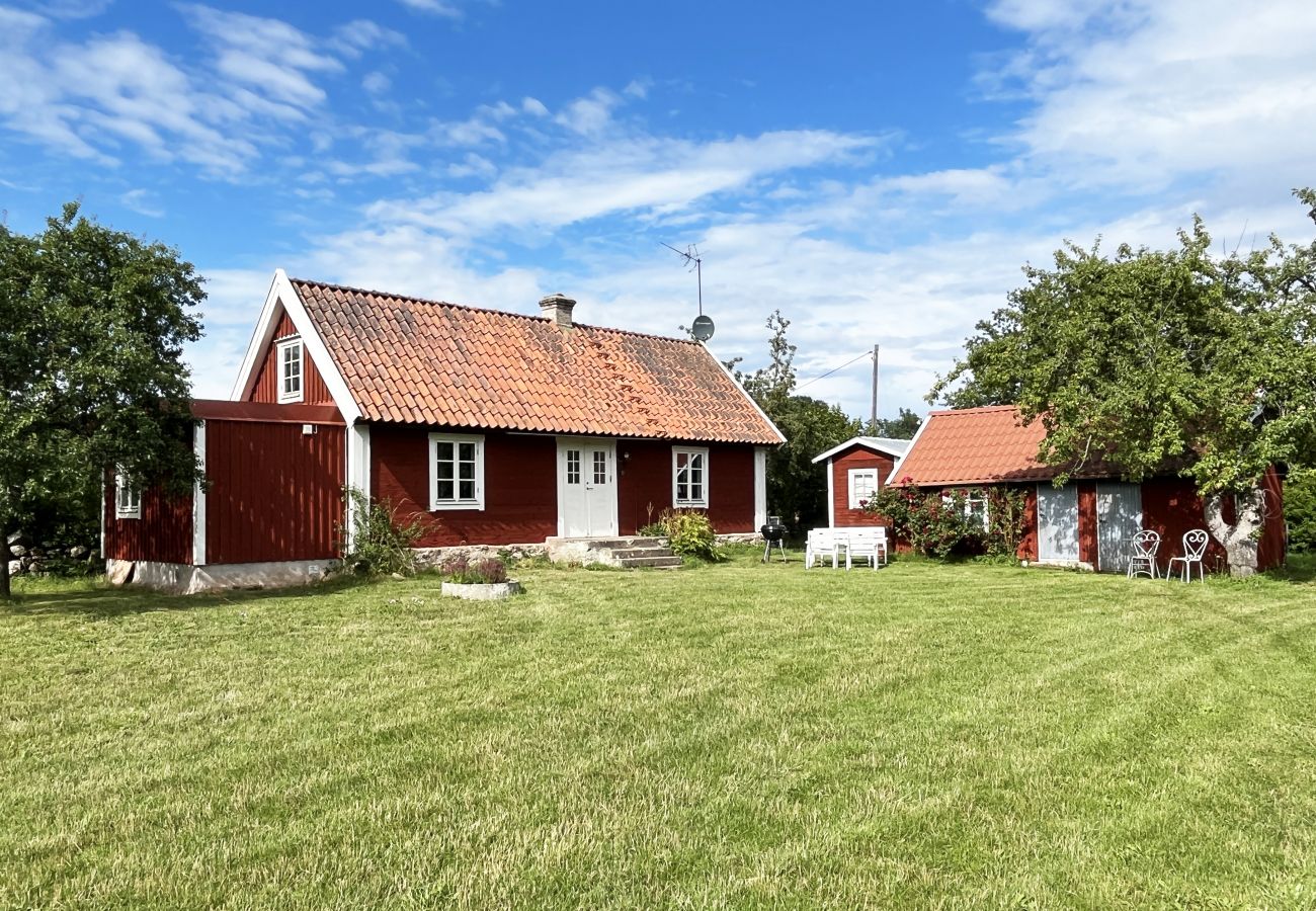 House in Borgholm - Nice cottage on Öland with grazing sheep in the surroundings I SE04033