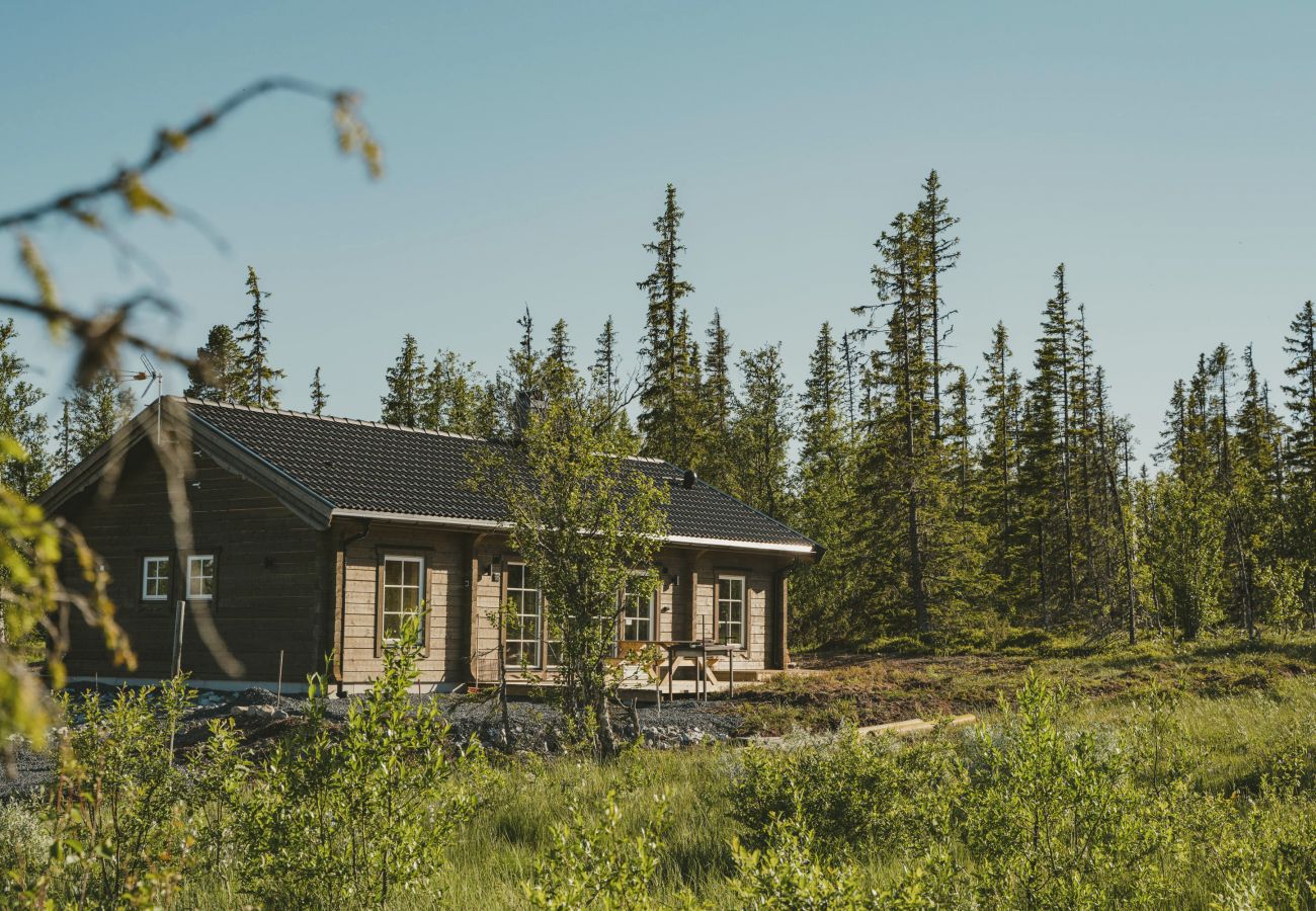 House in Undersåker - Modern holiday cottage in Trillevallen / Åre | SE21005