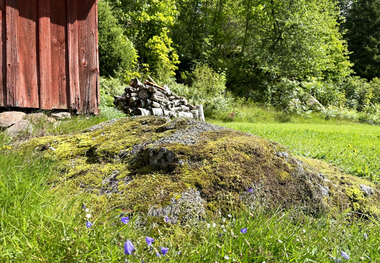 House in Högsäter - Cozy cottage by Kroppefjäll in Högsäter | SE17012